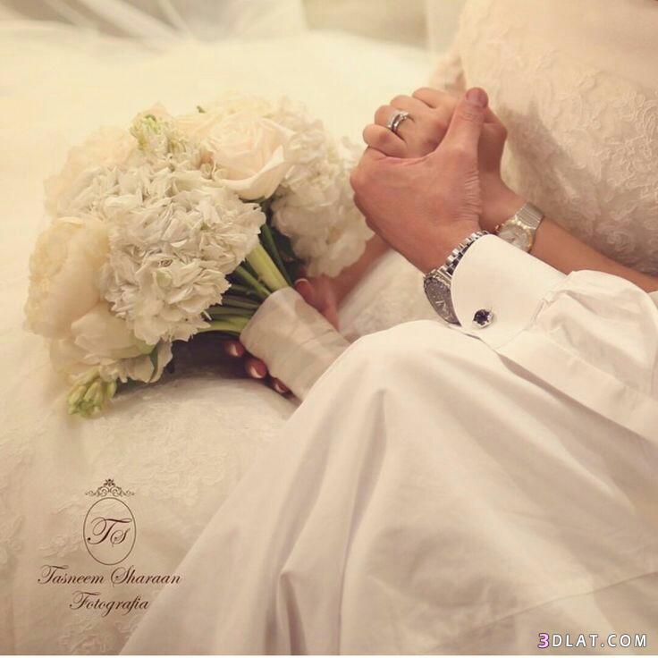 عادل و أنوار